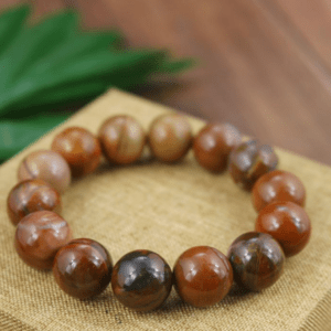 Alternative view of Vòng gỗ hóa thạch