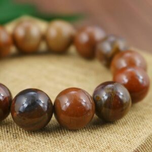 Vòng gỗ hóa thạch